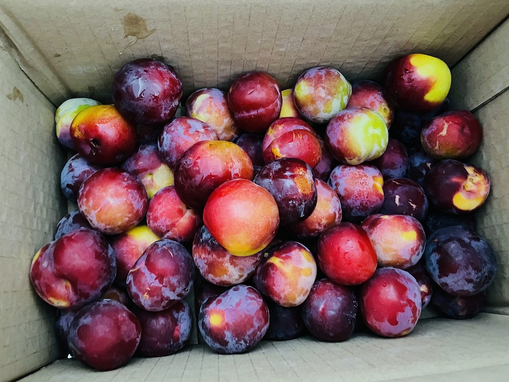 cc4b1c13bf0dfe37b031be2690aa5a2.jpg cc4b1c13bf0dfe37b031be2690aa5a2.jpg